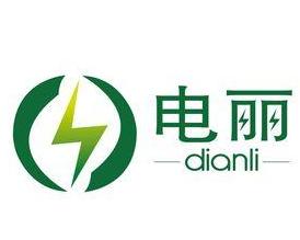 北京電麗商務咨詢